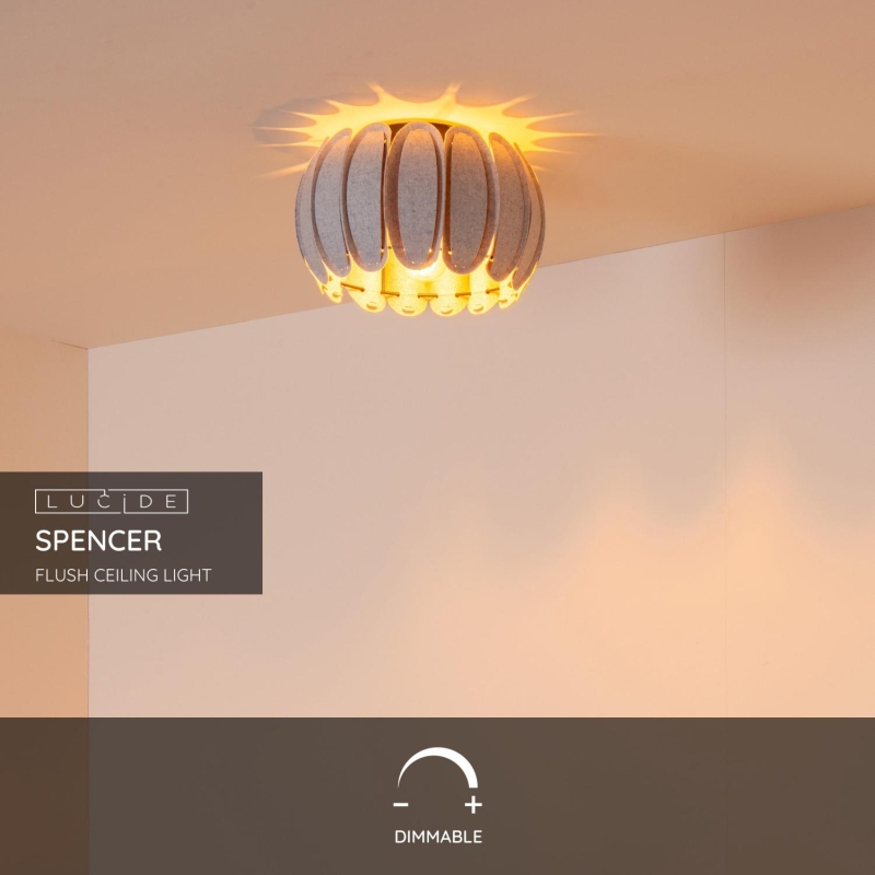 Lucide SPENCER - zapustené stropné svietidlo - Ø 30 cm - 1xE27 - šedá